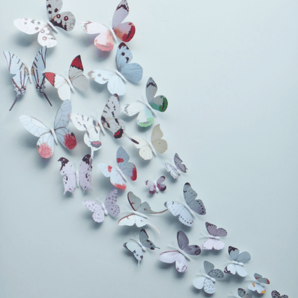 12PCS 3D Butterfly Wall Removable Sticker Decals Kids Art Nursery Decor Magnets - Go2buy Australia