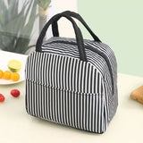 Insulated Flamingo Lunch Bag Tote Container For Women Kids Office Work School (4 Colors Available)
