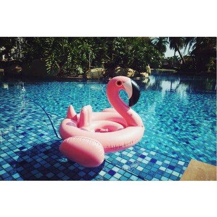 Inflatable Pool Float For Baby Pink Flamingo - Go2buy Australia