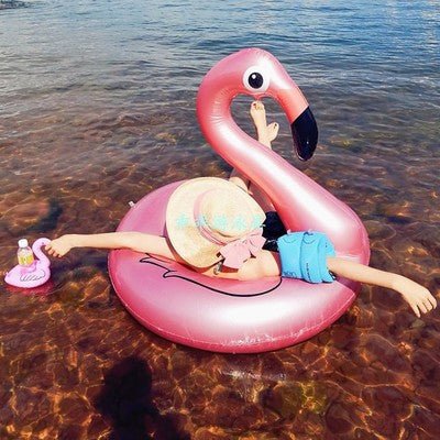 Inflatable Pool Float Swim Ring Rose Gold Flamingo 120cm - Go2buy Australia
