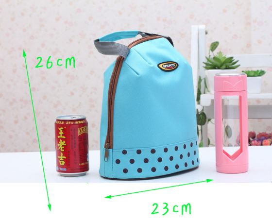 Insulated Lunch Bag Tote Container For Girls Kids Office Work School (4 Colors Available) - Go2buy Australia