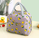 Insulated Flamingo Lunch Bag Tote Container For Women Kids Office Work School (4 Colors Available)